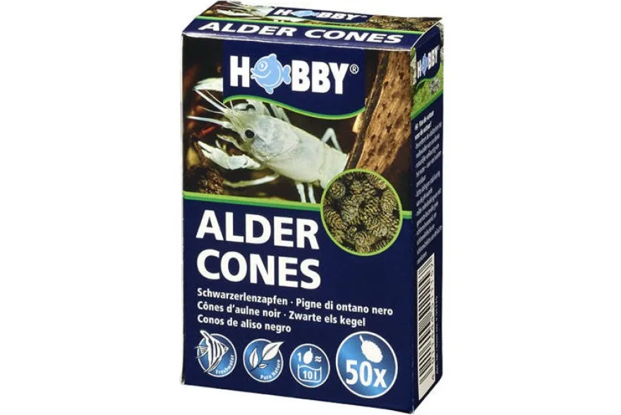 Hobby Alder Cones, Erlenzäpfchen, 50 Stück