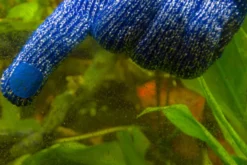 Hobby Algo Wipe, Aquarien-Pflegehandschuh