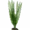 Hobby Aponogeton, 39 cm