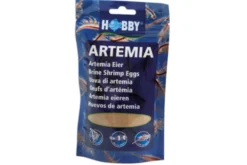 Hobby Artemia Eier, 150 ml