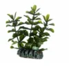 Hobby Bacopa, 7 cm