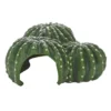 Hobby Cactus Home 1