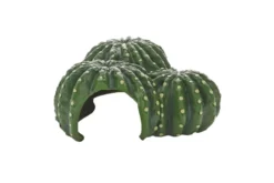 Hobby Cactus Home 1