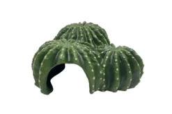 Hobby Cactus Home 6