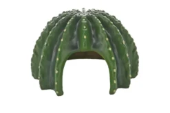 Hobby Cactus Home 3