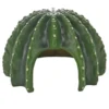 Hobby Cactus Home 2