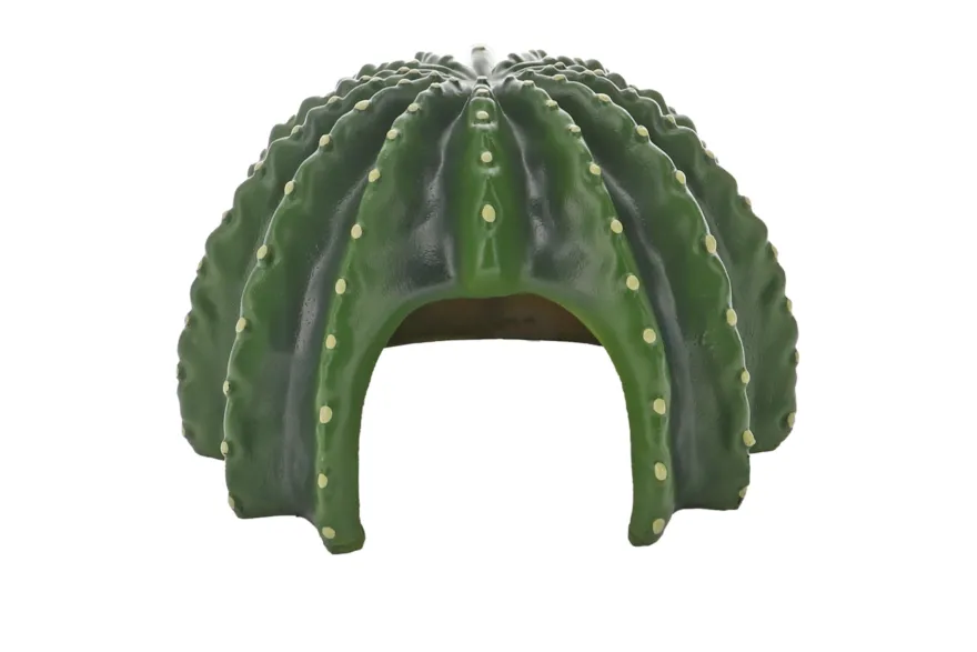Hobby Cactus Home 2