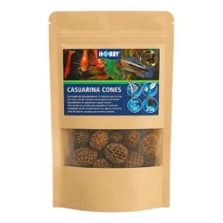Hobby Casuarina Cones, Kasuarinen-Zapfen, 25 Stück