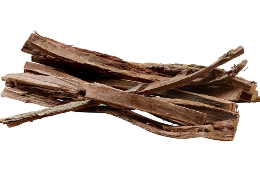 Hobby Catappa Bark, Seemandelbaumrinde, 12 St.
