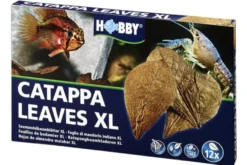 Hobby Catappa Leaves XL, Seemandelbaumblätter, 12 St.