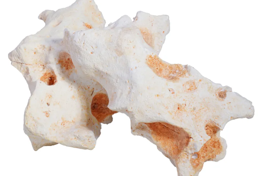 Hobby Cavity Rock 2 (20 × 13 × 11 cm)