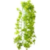 Hobby Climber Ivy, 70 cm