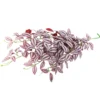 Hobby Climber Purpurea, Terrarien-Hängepflanze, 70 cm