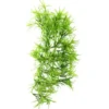 Hobby Climber Tropica, 37 cm