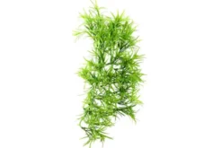Hobby Climber Tropica, 37 cm