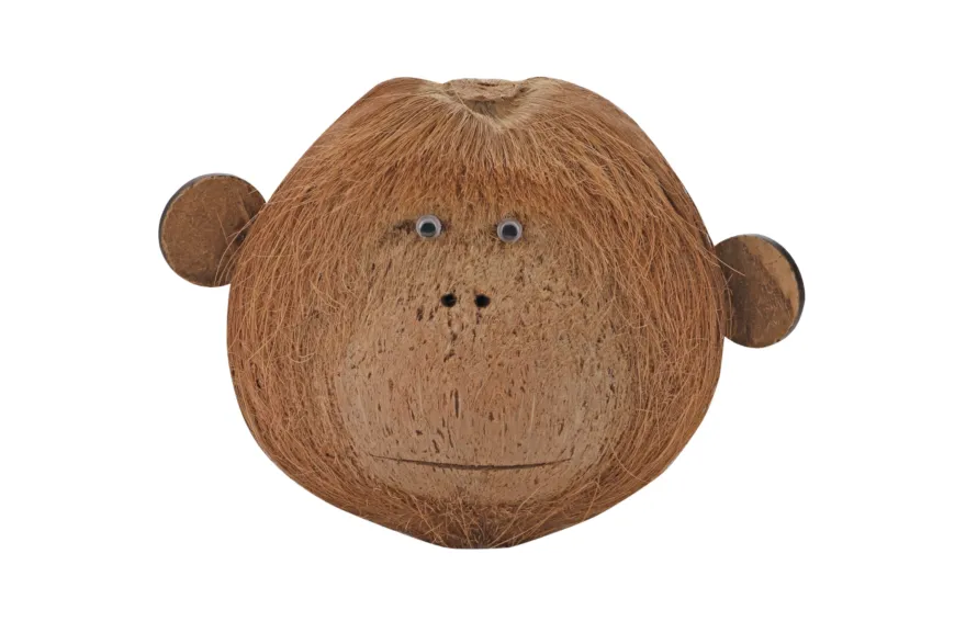 Hobby Coco Monkey 2