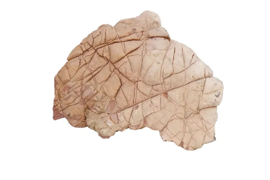 Hobby Crusted Rock L (2,5–3,5 kg)