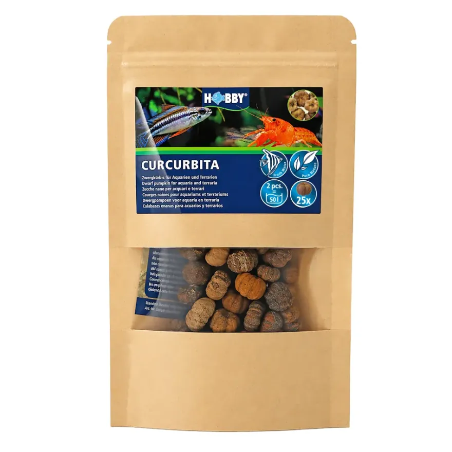 Hobby Curcurbita, Zierkürbis, 25 Stück