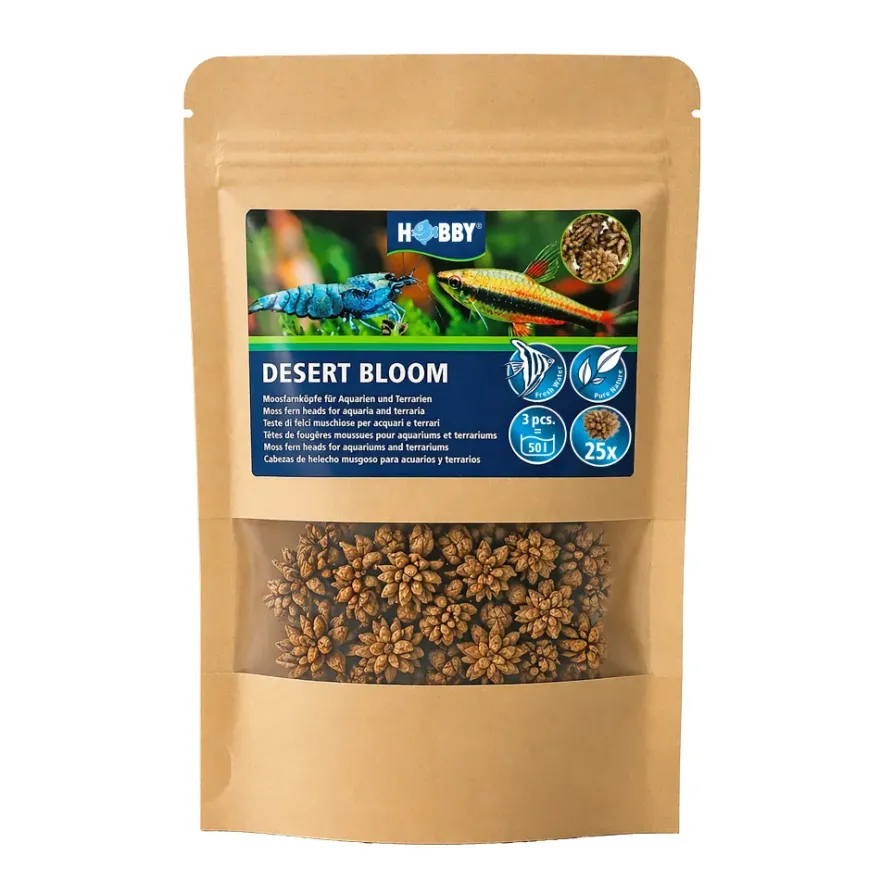 Hobby Desert Bloom, Moosfarn, 25 Stück