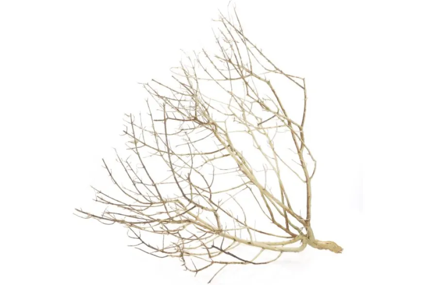 Hobby Desert Bush M, ca. 30-45 cm