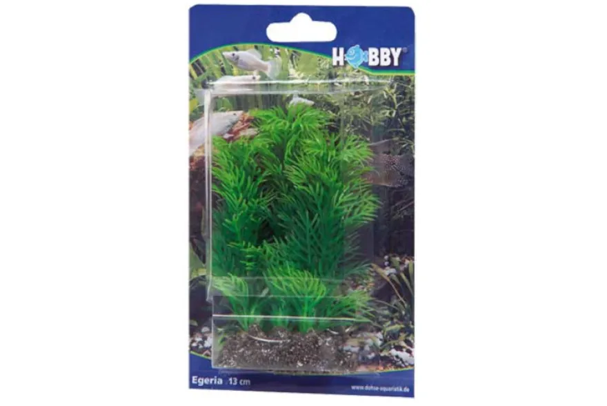 Hobby Egeria, 34 cm