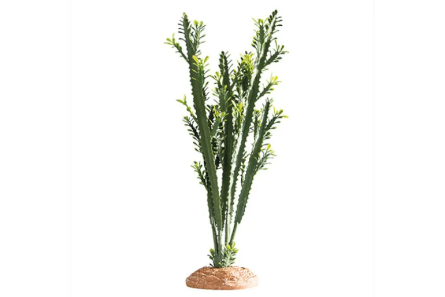 Hobby Euphorbia L, Kunstpflanze