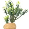 Hobby Euphorbia M, Kunstpflanze