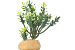 Hobby Euphorbia M, Kunstpflanze