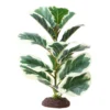 Hobby Ficus Elastica 1, Terrarien Pflanze, 40 cm