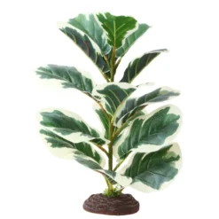 Hobby Ficus Elastica 1, Terrarien Pflanze, 40 cm