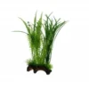 Hobby Flora Root 1, 30 cm