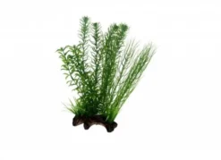 Hobby Flora Root 2, 30 cm