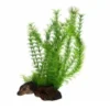 Hobby Flora Root 3, 30 cm