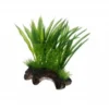 Hobby Flora Root 2, 17 cm