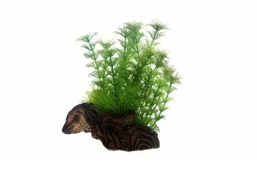 Hobby Flora Root 3, 17 cm