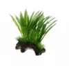 Hobby Flora Root 1, 17 cm