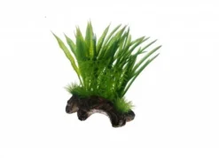 Hobby Flora Root 1, 17 cm