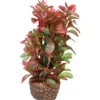 Hobby Flora Stone 4