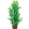 Hobby Flora Stone 6