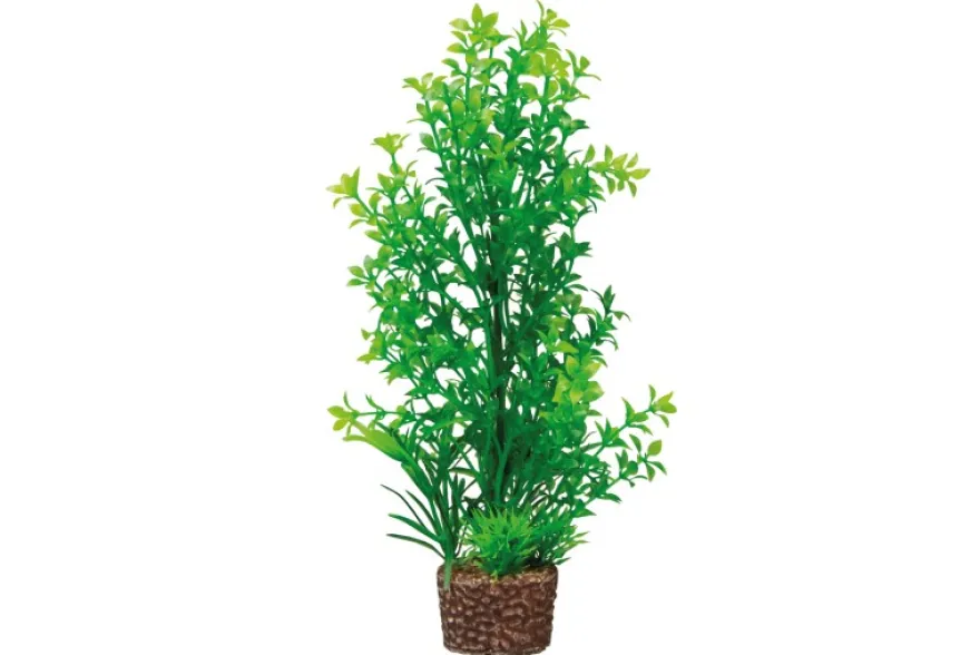 Hobby Flora Stone 6