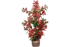 Hobby Flora Stone 7
