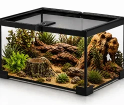 Hobby Forest Stump, Trinkschale und Pflanztopf, 14 x 12,5 x 10 cm