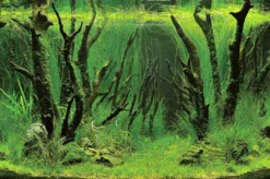 Hobby Fotorückwandzuschnitt Canyon/Woodland, 200 cm x 60 cm
