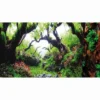 Hobby Fotorückwandzuschnitt Green Dream/Wooden Sky, 120 cm x 50 cm