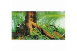 Hobby Fotorückwandzuschnitt Pearl River/Deep Delta, 100 cm x 50 cm