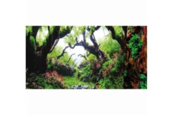 Hobby Fotorückwandzuschnitt Green Dream/Wooden Sky, 100 cm x 50 cm