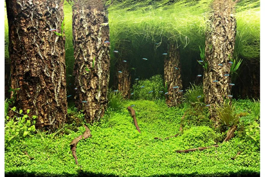 Hobby Fotorückwandzuschnitt Scapers Hill/Scapers Forest, 120 cm x 50 cm