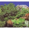 Hobby Fotorückwandzuschnitt Pflanzen 8/Marin Blue, 50 x 100 cm