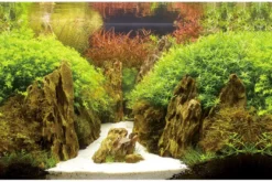Hobby Fotorückwandzuschnitt Canyon/Woodland, 60 cm x 30 cm