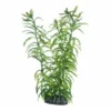 Hobby Heteranthera, 25 cm
